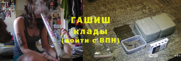 шишки Абаза