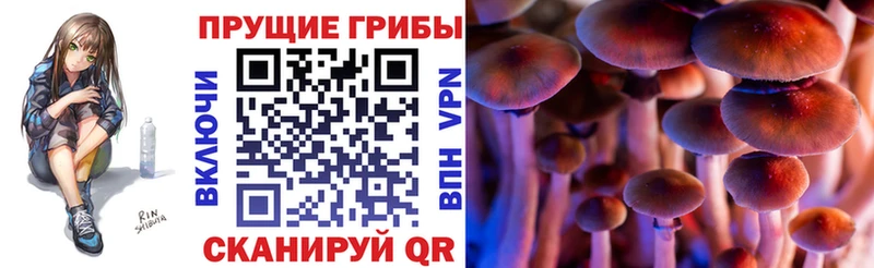 Галлюциногенные грибы ЛСД  Нелидово 